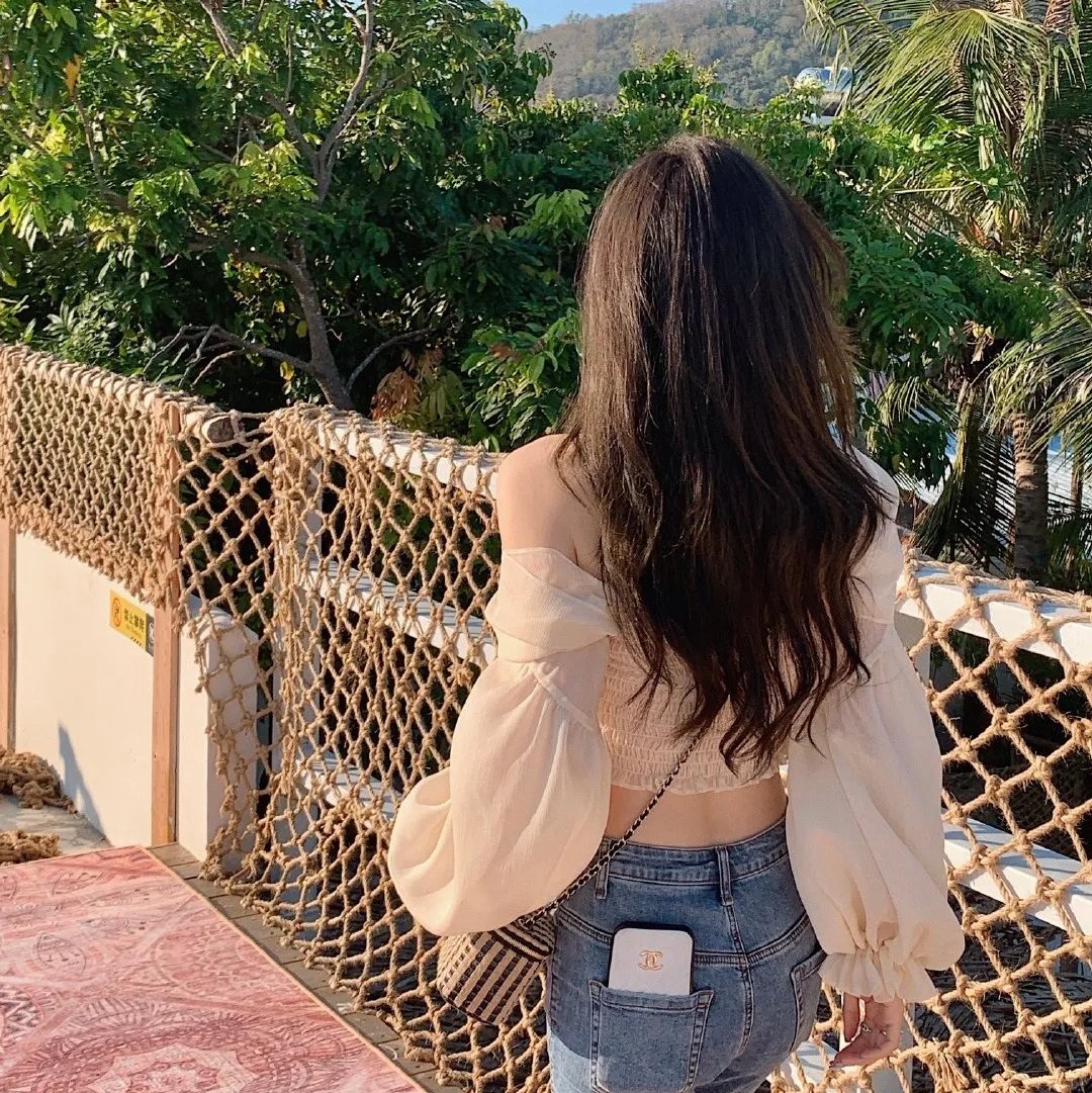 哈莱姆的郁金香